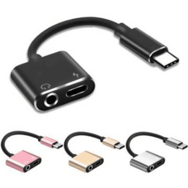 type c charger + aux adapter