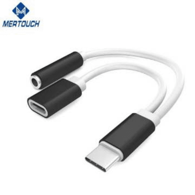 type c charger + aux adapter